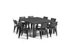 PRE ORDER: AVAILABLE  JUNE - Julie Double Dining Set