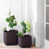 PRE ORDER: AVAILABLE JULY - Keter Small Cube Planter - Brown